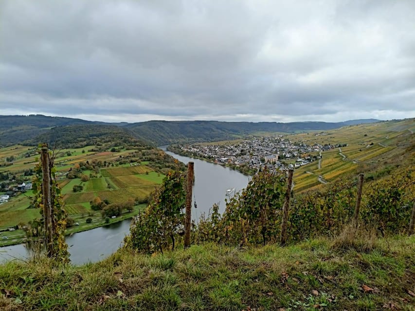 Kröv, Mosel: Covered wagon ride through the vineyards with wine tasting - Setting out from the gray hall and red structure