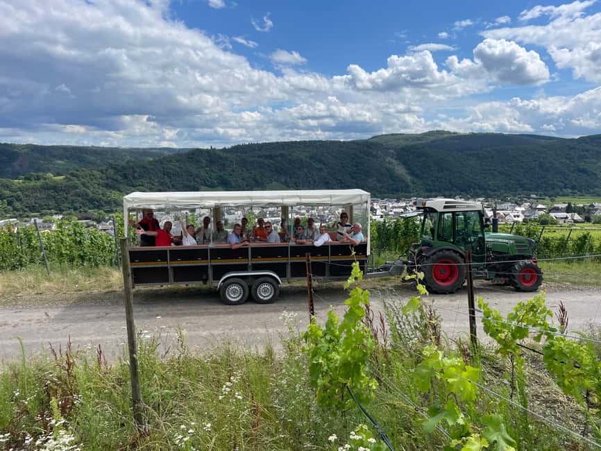 Kröv, Mosel: Covered wagon ride through the vineyards with wine tasting - Riding into Kröv’s vineyards