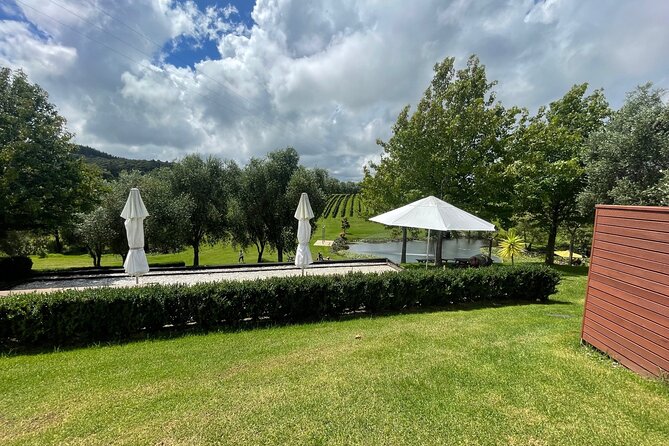 Kumeu Wine Tour - Why Kumeu makes a good Auckland day trip