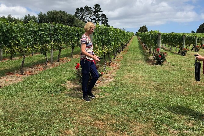 Kumeu Wine Tour - Soljans Estate: a family-run opening stop