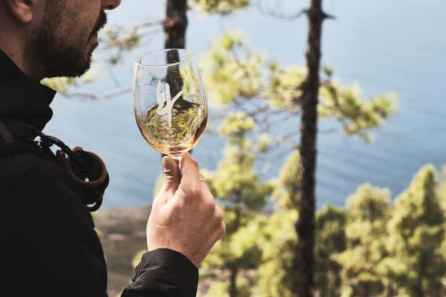 La Palma: Bodegas Teneguia Winery Tour with Wine Tasting - Why Bodegas Teneguía is worth a stop
