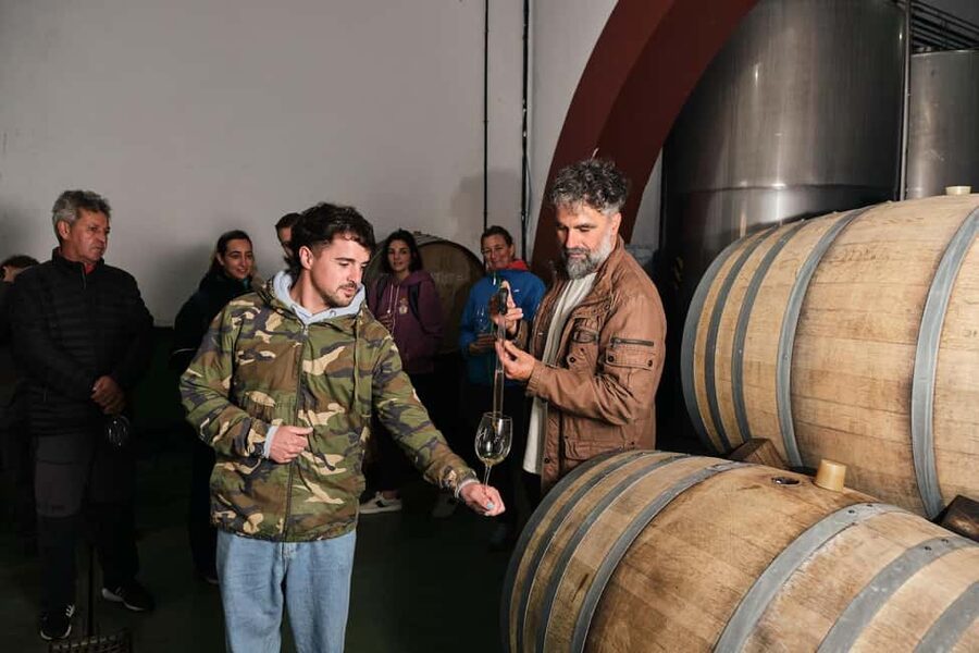 La Palma: Bodegas Teneguia Winery Tour with Wine Tasting - From grape harvesting to pressing