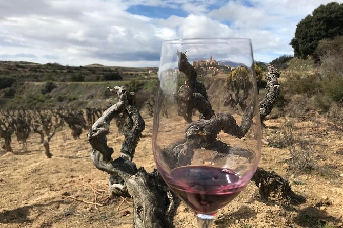 La Rioja Boutique Wine Tour & Charming Lunch (From Bilbao) - Why this Rioja day trip works from Bilbao