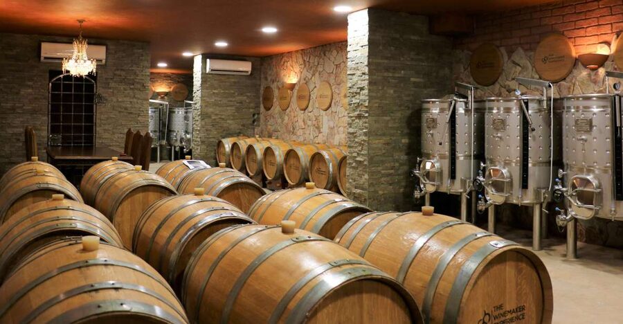 Lagoa: Guided Winery Tour and Local Wine Tasting - The barrel cellar and the role of time