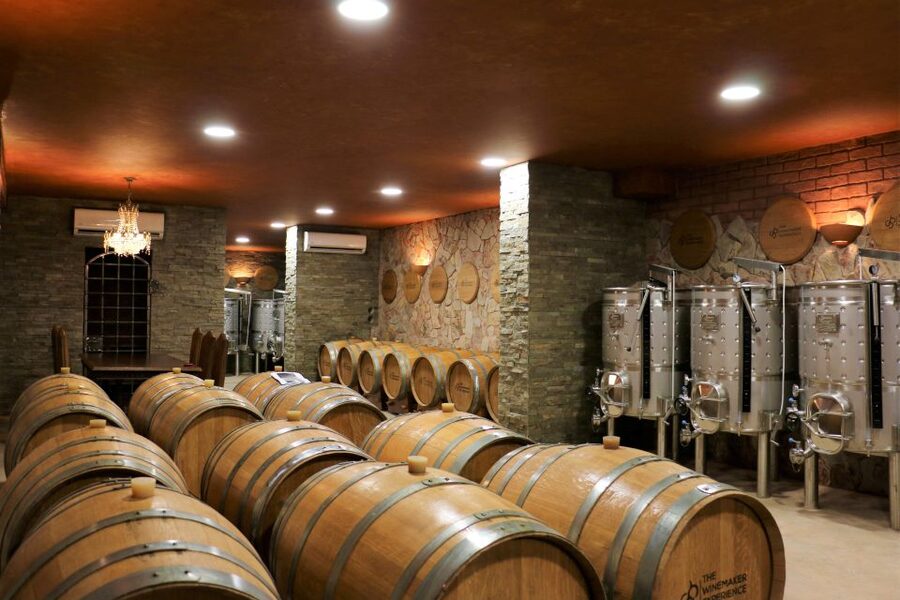 Lagoa: Guided Winery Tour and Local Wine Tasting - Sculpture gardens where wine meets art