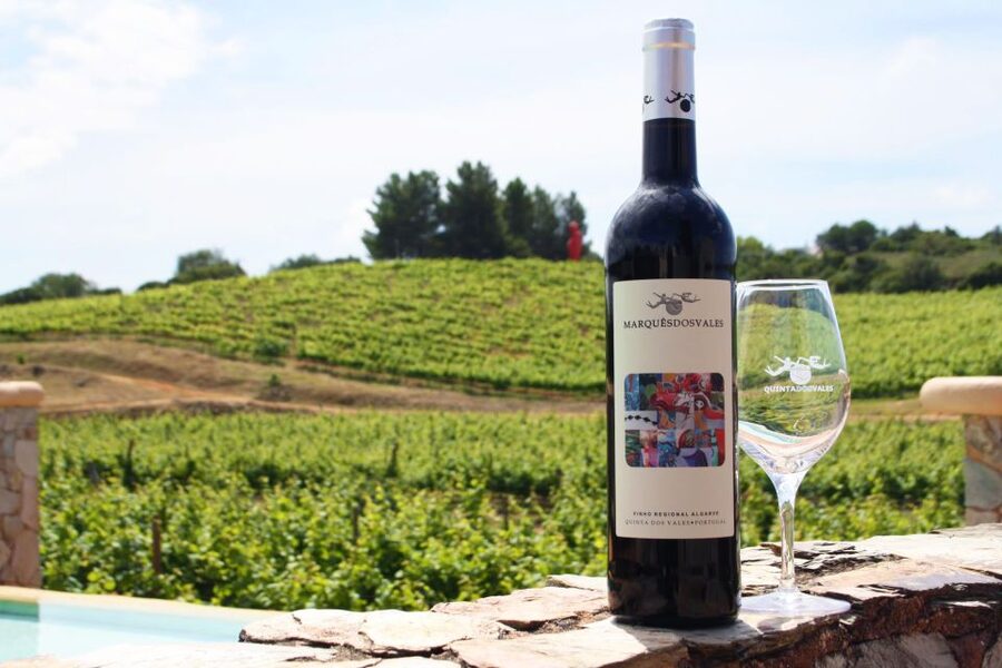 Lagoa: Guided Winery Tour and Local Wine Tasting - The guide can shape the whole visit