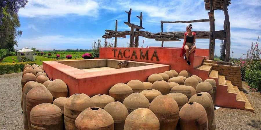 Lagos/Praia da Luz: Wine Tour, Tastings, Tapas, and Music - Portuguese music changes the mood
