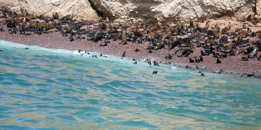 Lagos/Praia da Luz: Wine Tour, Tastings, Tapas, and Music - Twenty minutes to shop for Algarve products