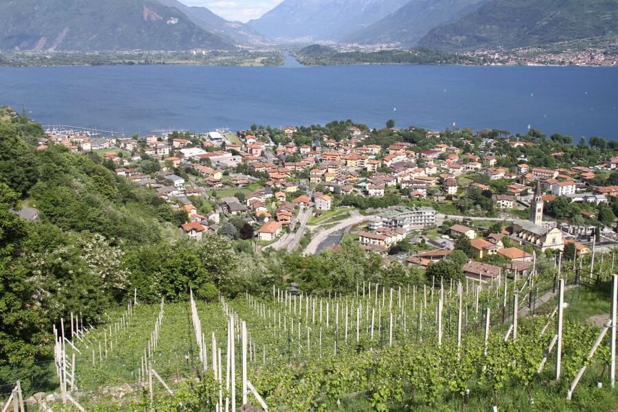 Lake Como: Winery Tour with Wine Tasting - Why this winery makes sense on Lake Como