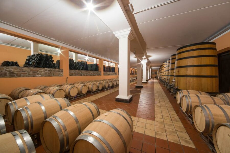 Lake Garda: Garda Hills Wine Tour and Tasting - A small estate with a personal welcome