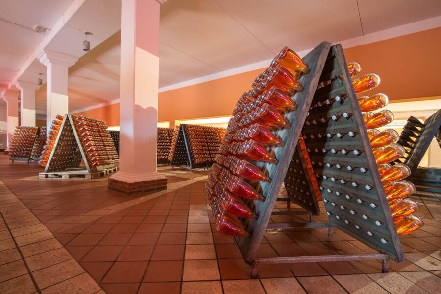 Lake Garda: Garda Hills Wine Tour and Tasting - Four wines, with the possibility of an extra pour