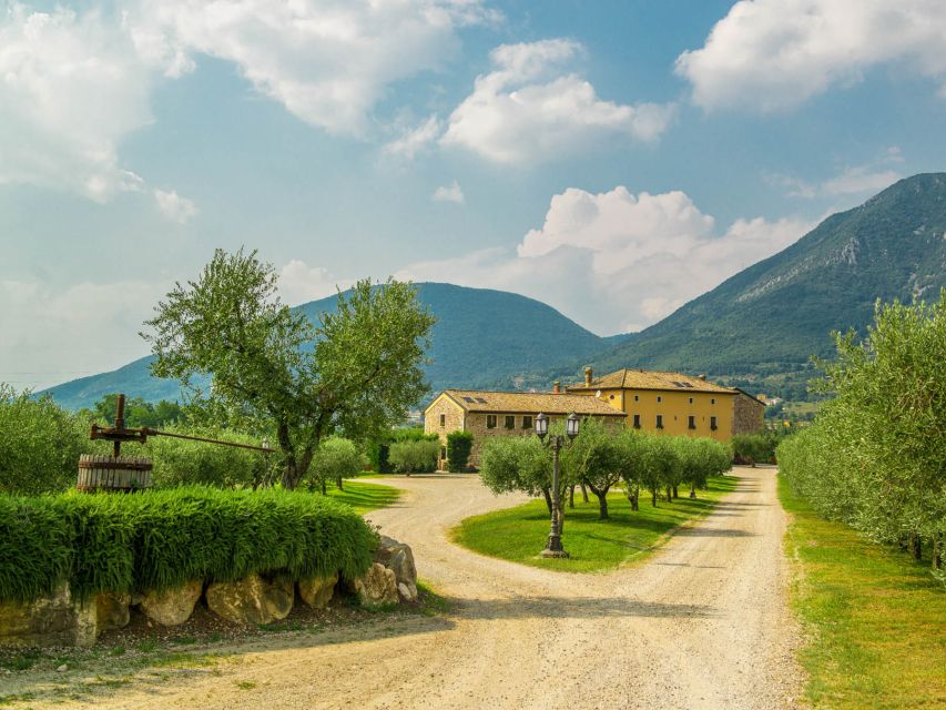 Lake Garda: Garda Hills Wine Tour and Tasting - Is the $51 price good value?