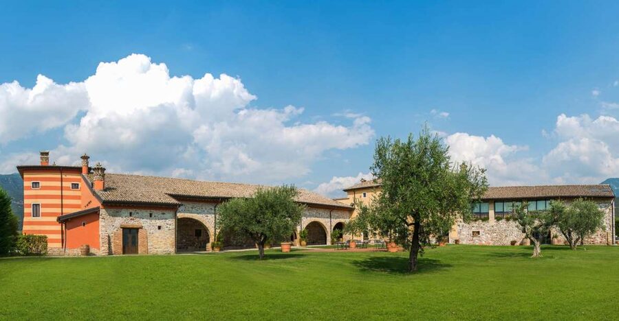 Lake Garda: Garda Hills Wine Tour and Tasting - Walking the vines and learning the grape varieties