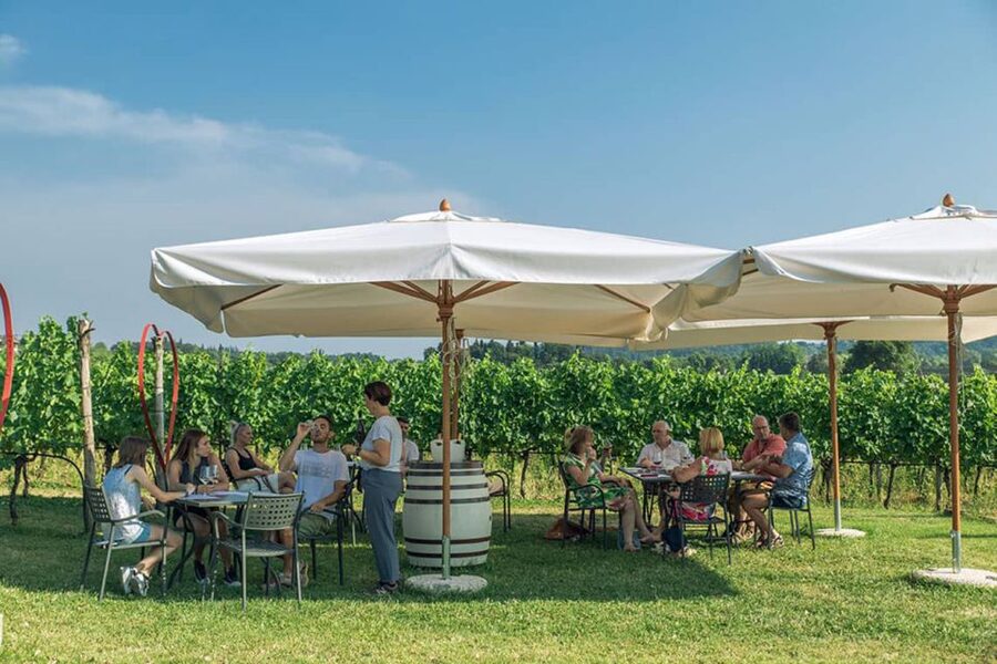 Lake Garda: Wine and Food Tastings in the Vineyards - A relaxed introduction to Lake Garda wine