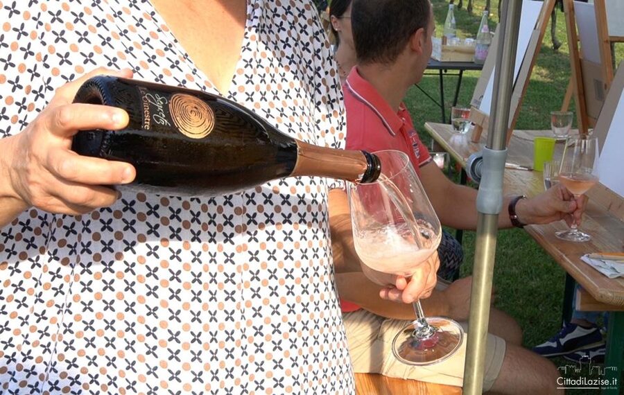 Lake Garda: Wine and Food Tastings in the Vineyards - Salami, cheese, bread, and Garda olive oil