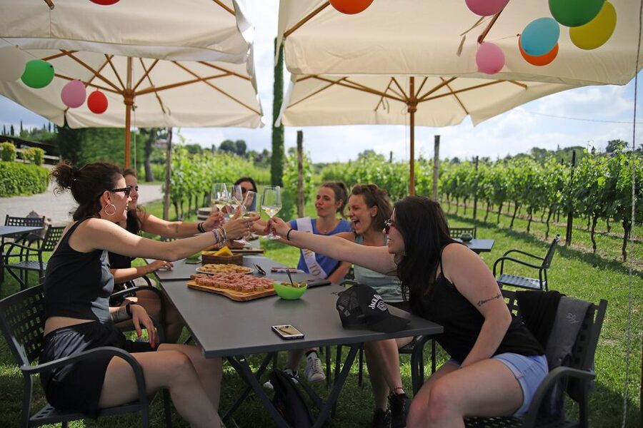Lake Garda: Wine and Food Tastings in the Vineyards - Who will enjoy this tasting most?