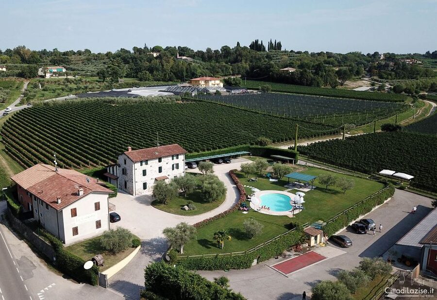 Lake Garda: Wine and Food Tastings in the Vineyards - Should you book the Le Ginestre wine tasting?