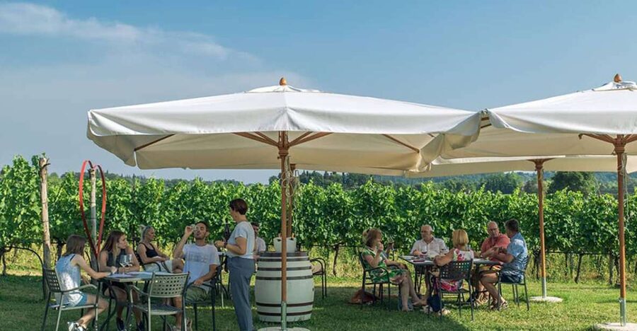 Lake Garda: Wine and Food Tastings in the Vineyards - Six wines, from Garganega to bold reds