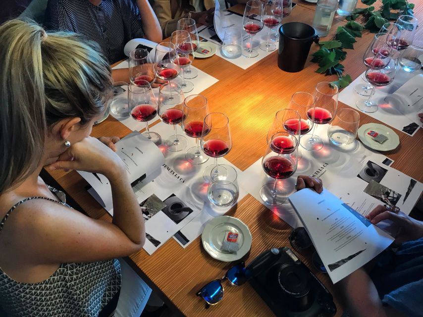 Lake Garda: Wine Tour and Tasting Experience in Bardolino - Four wines with local food