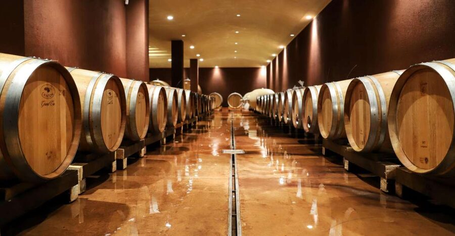 Lake Garda: Wine Tour and Tasting Experience in Bardolino - The winery visit, from harvest to bottling