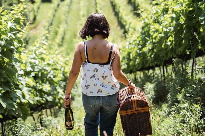 Lake Ledro: wine Pic Nic with stunning Lake View - Choosing the wine and tasting among the vines