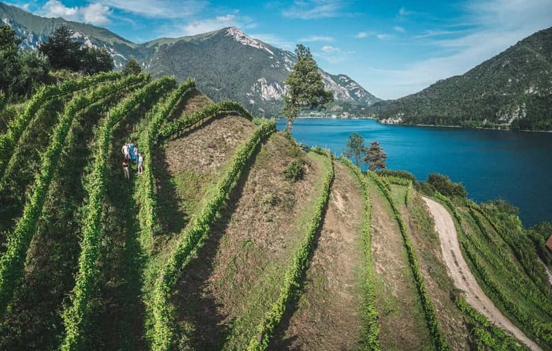 Lake Ledro: wine Pic Nic with stunning Lake View - Who will enjoy this vineyard picnic most?