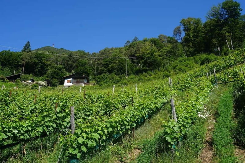 Lake Ledro: wine Pic Nic with stunning Lake View - Practical tips for a smoother visit