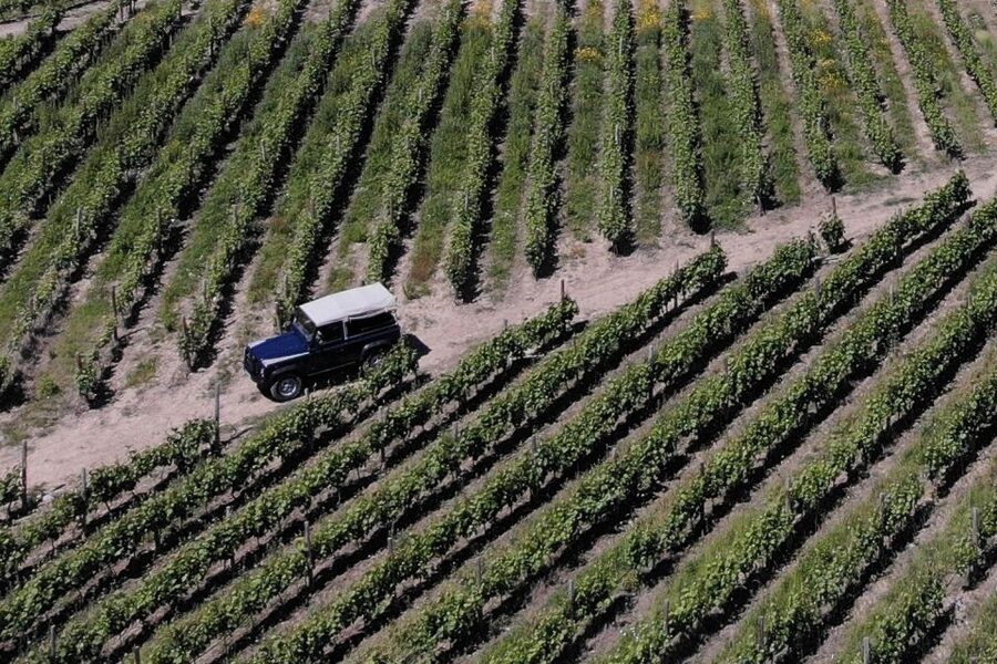 Lamego: Quinta da Portela de Baixo Winery Tour and Tasting - Six wines, generous pours, and a full table
