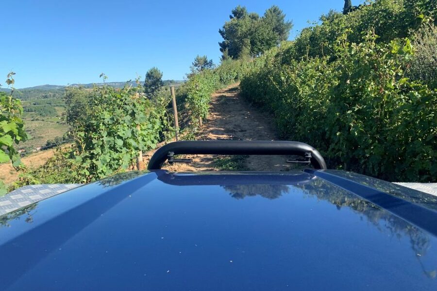 Lamego: Quinta da Portela de Baixo Winery Tour and Tasting - Vineyard walks and views across the Douro Valley