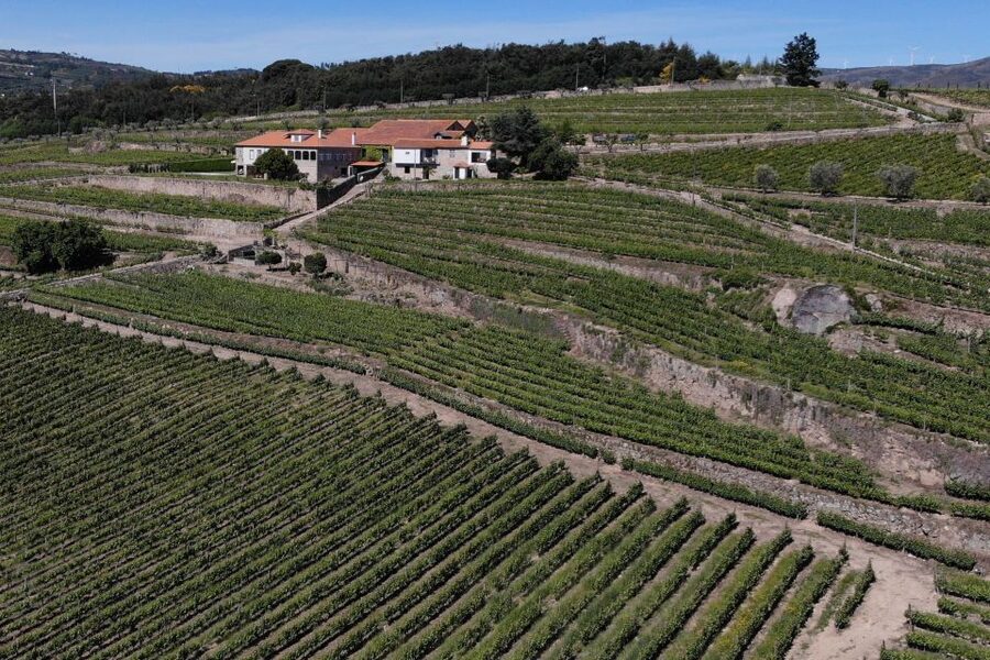 Lamego: Quinta da Portela de Baixo Winery Tour and Tasting - How private is the experience?