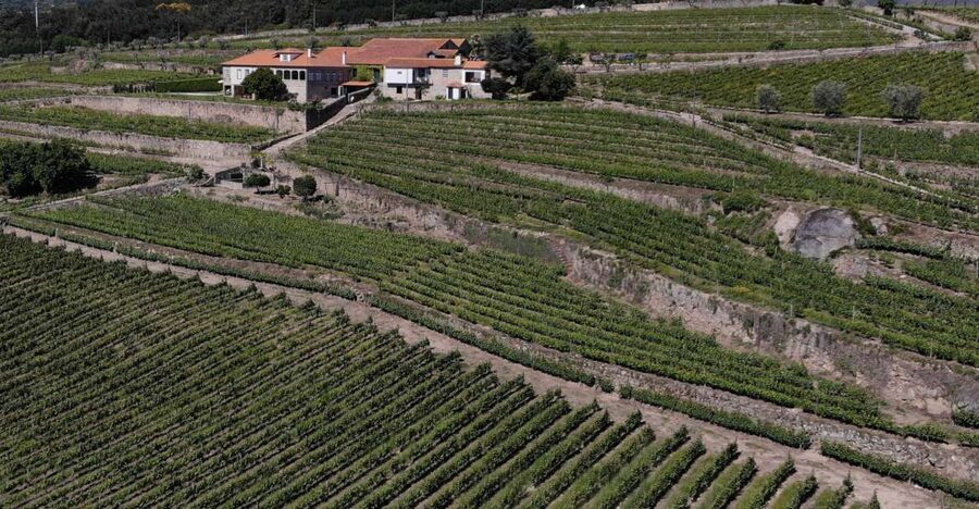 Lamego: Quinta da Portela de Baixo Winery Tour and Tasting - Who will enjoy this winery most?