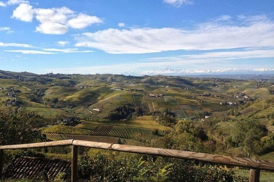 Langhe & Monferrato: Vineyard Tour and Wine Tasting - Who will enjoy this most