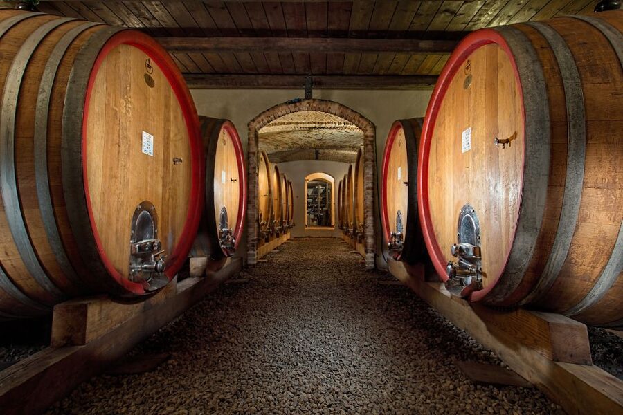 Langhe: Winery Tour and Wine Tasting - Four wines, including Barolo