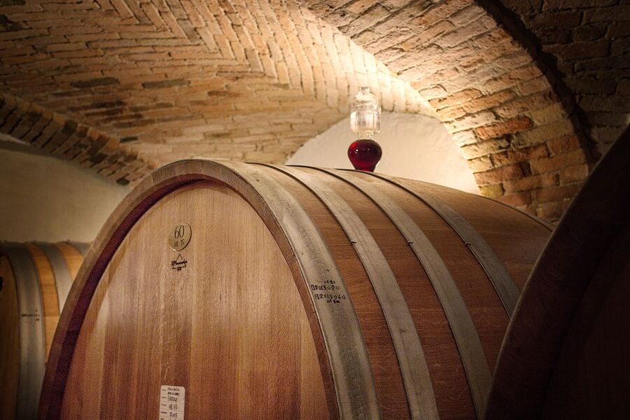 Langhe: Winery Tour and Wine Tasting - Who will enjoy this winery visit most