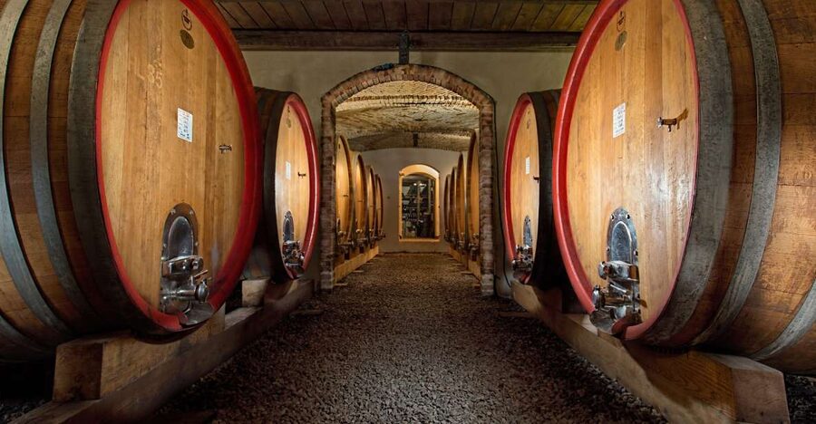 Langhe: Winery Tour and Wine Tasting - From vineyard harvest to cellar