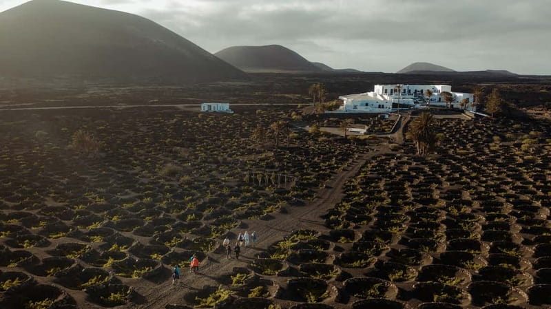 Lanzarote: Sunset vineyard tour with wine and chocolate tasting - The House, Cistern, and Old Winery
