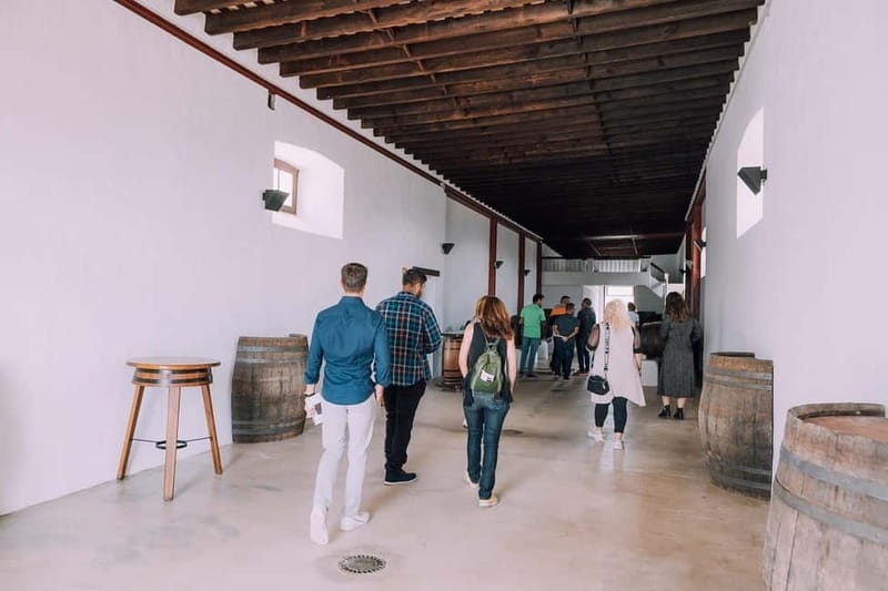 Lanzarote: Sunset vineyard tour with wine and chocolate tasting - Two Wines and Artisan Chocolate