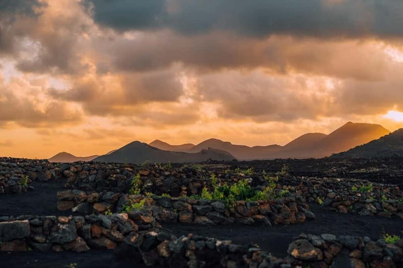 Lanzarote: Sunset vineyard tour with wine and chocolate tasting - The Sunset Walk Through the Vineyard