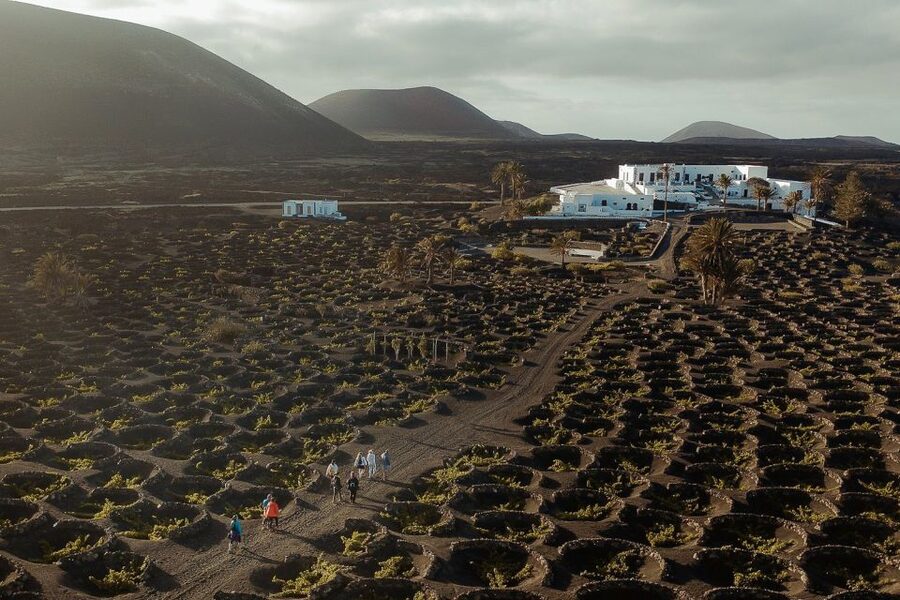 Lanzarote: Vineyard Tour with Wine and Chocolate Tasting - Key points to know before you go