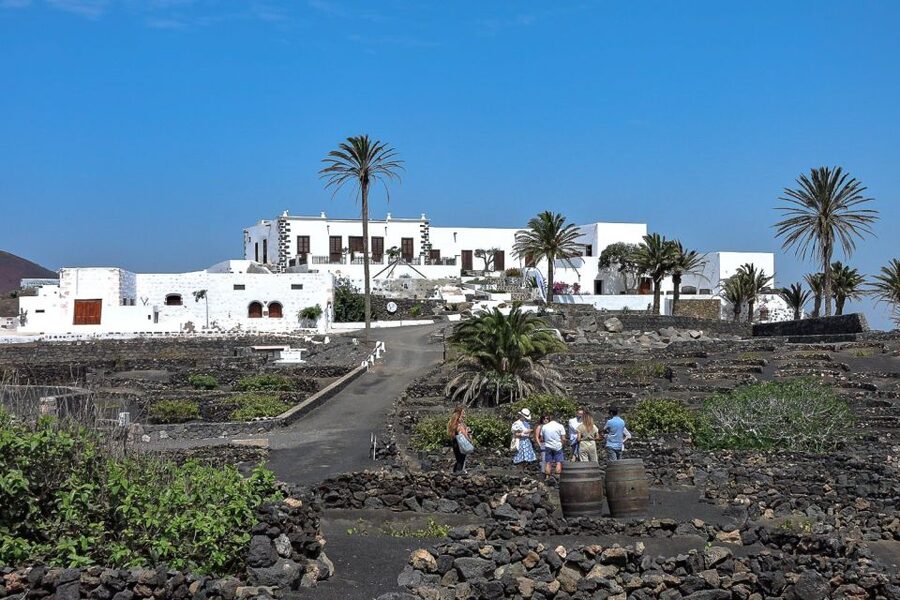 Lanzarote: Vineyard Tour with Wine and Chocolate Tasting - Why Lanzarote’s vineyards look so different