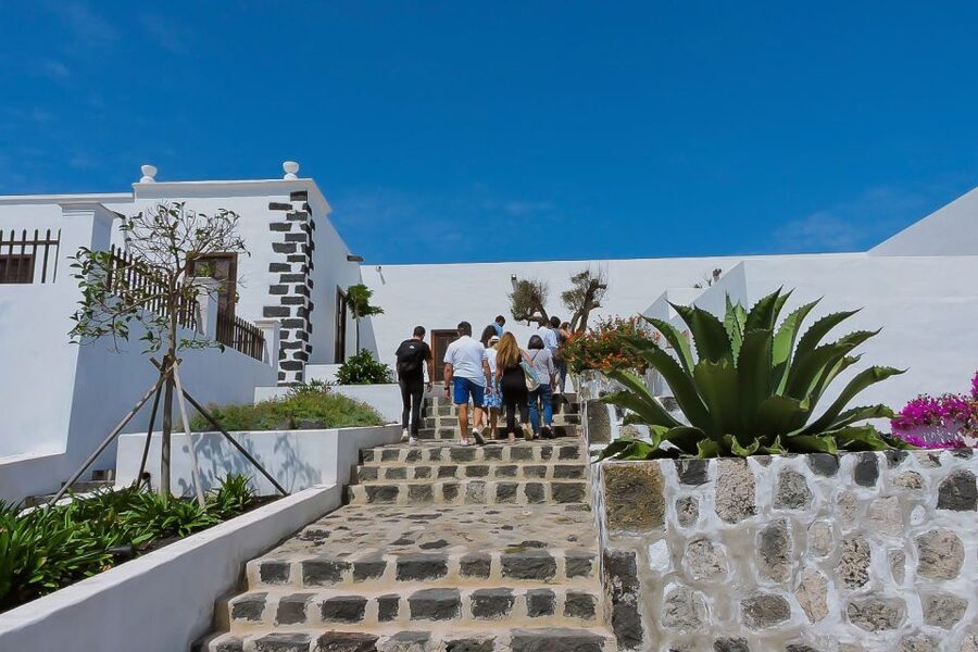 Lanzarote: Vineyard Tour with Wine and Chocolate Tasting - The 50-minute vineyard walk