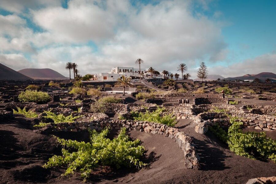 Lanzarote: Vineyard Tour with Wine and Chocolate Tasting - The views toward Testeina and Los Volcanes