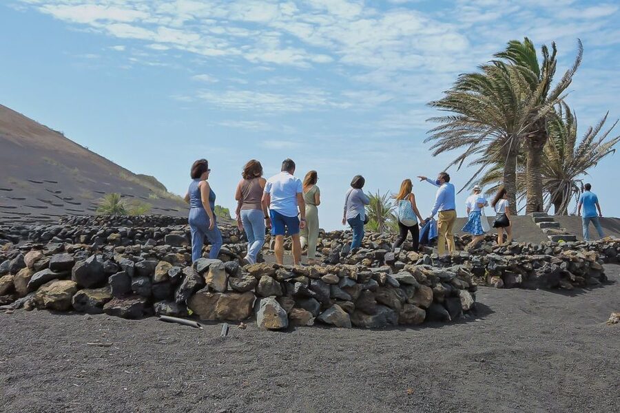 Lanzarote: Vineyard Tour with Wine and Chocolate Tasting - Is $28 a fair price?