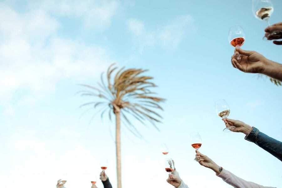 Lanzarote: Vineyard Tour with Wine and Chocolate Tasting - Practical details that make the visit easier