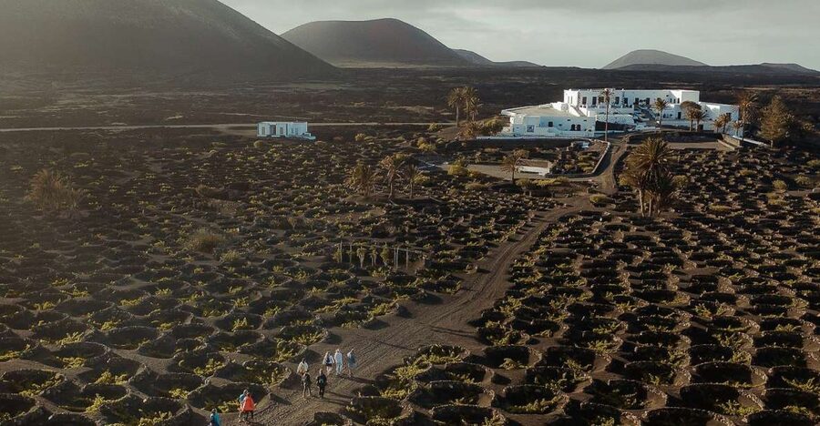 Lanzarote: Vineyard Tour with Wine and Chocolate Tasting - Starting at Finca Testeina
