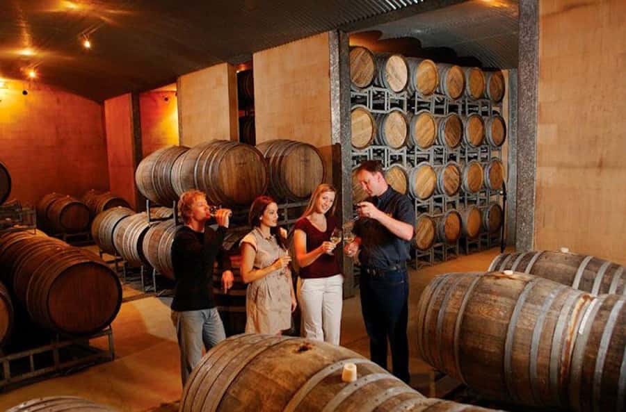 Launceston: Tamar Valley Wine Tour with Lunch - Why the Tamar Valley is worth a full day