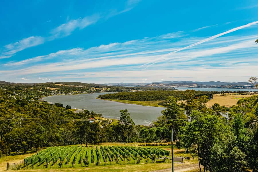Launceston: Tamar Valley Wine Tour with Lunch - Pickup from Launceston and the seven-hour pace