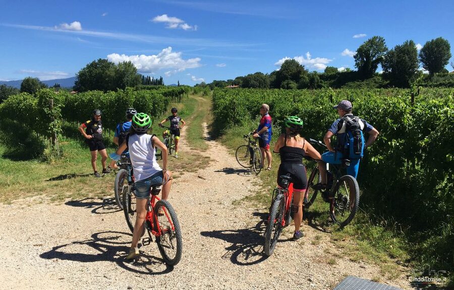 Lazise: Bike Tour and Wine Tasting - Starting at Le Ginestre Winery in Lazise