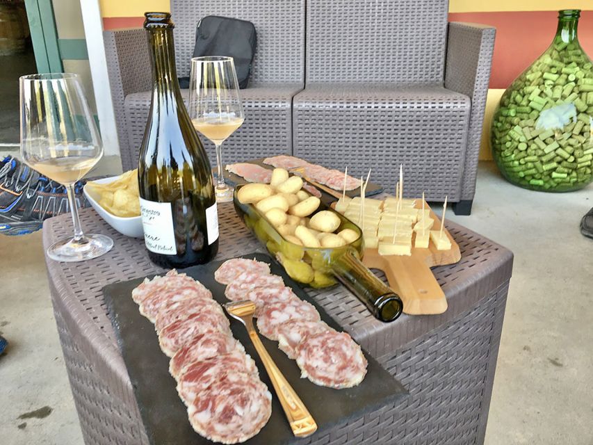 Lazise: Bike Tour and Wine Tasting - What the e-bike changes