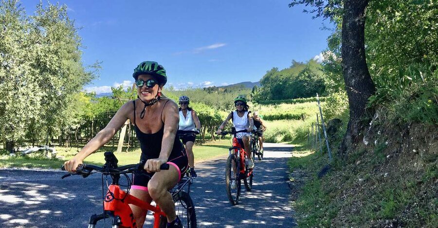 Lazise: Bike Tour and Wine Tasting - Returning to the winery for Bardolino wines